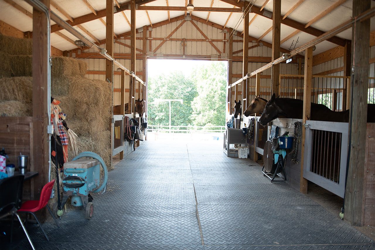 A stable with several horses at Carolina Therapeutic Ranch in Rock Hill, SC