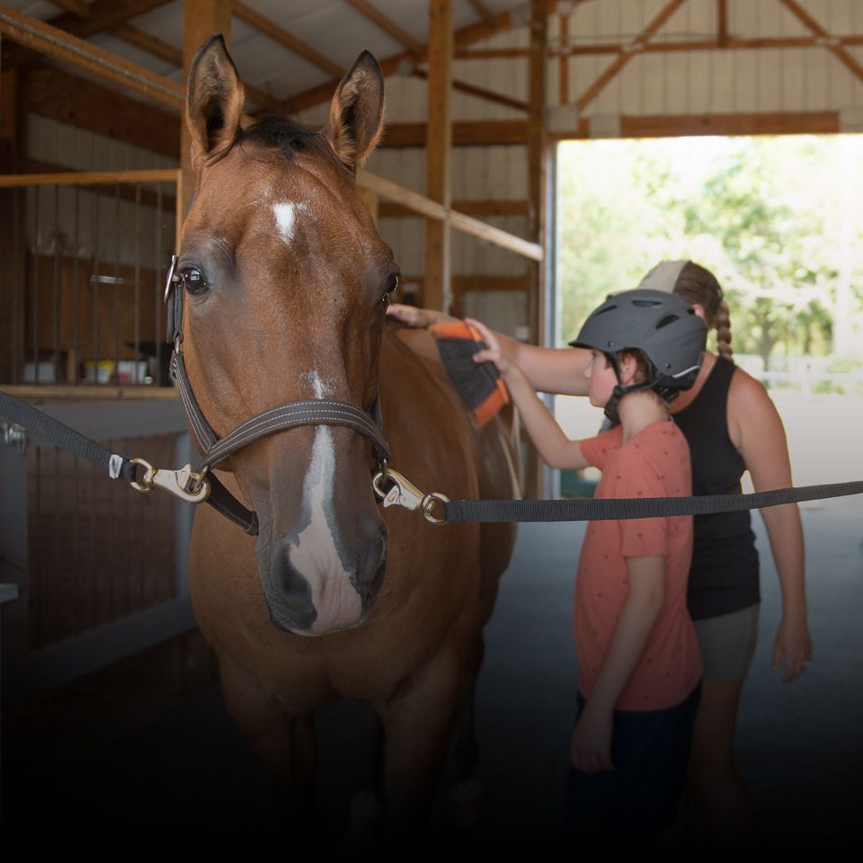 A young boy and therapist brush a horse in a barn during a hippotherapy session