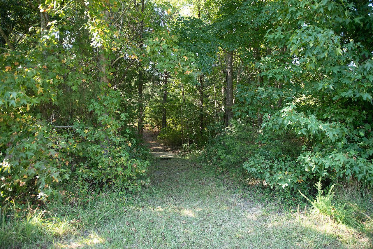 The opening to a wooded trail at Carolina Therapeutic Ranch in Rock Hill, SC